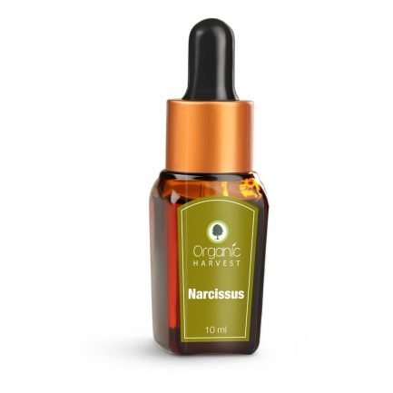 Organic Harvest Narcissus Essential Oil, 10ml