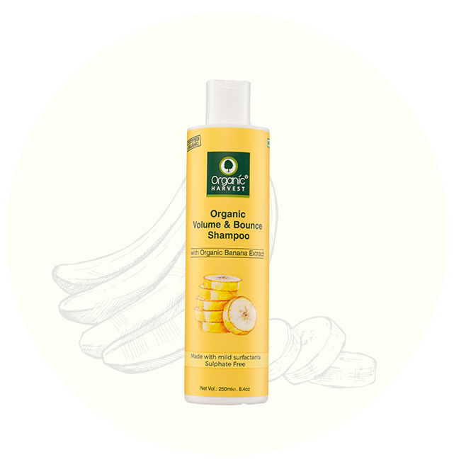 Organic Harvest Volume & Bounce Shampoo - Banana Extract (250ml)