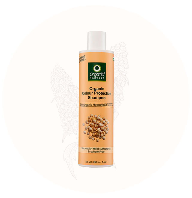Organic Harvest Colour Protection Shampoo - Quinoa (250ml)