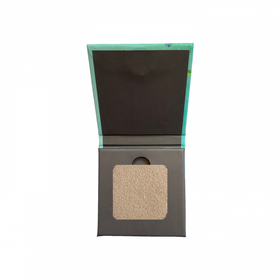 DISGUISE - Frosted Cream Cashew 201 Eyeshadow (4.5gm)