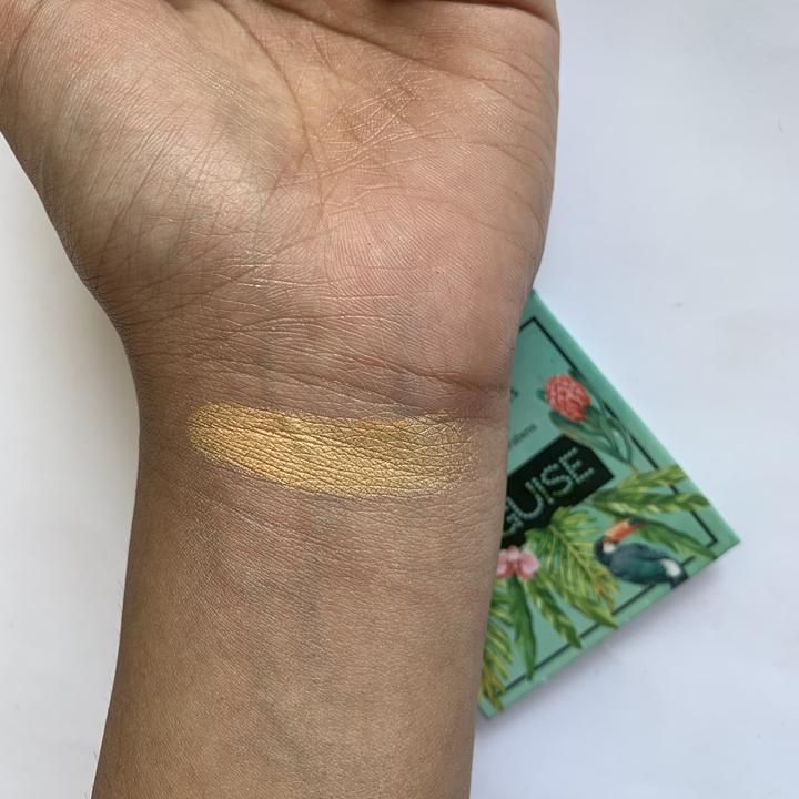 DISGUISE - Frosted Gold Melon 202 Eyeshadow (4.5gm)