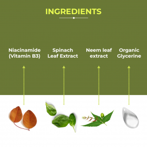 Ingredients-2