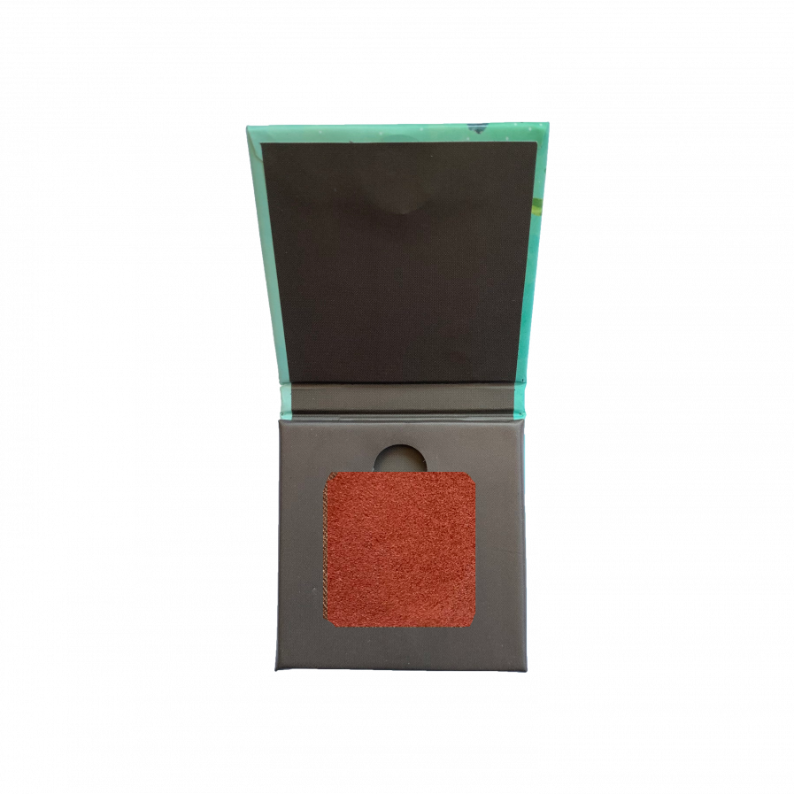 DISGUISE - Satin Copper Lava 205 Eyeshadow (4.5gm)