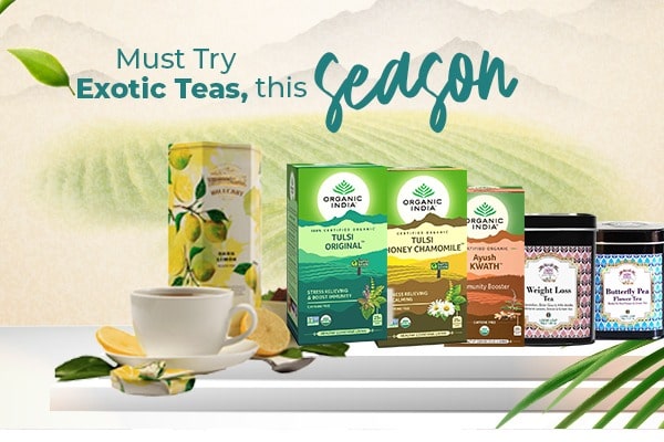 top-6-organic-herbal-tea-you-must-try-in-winter